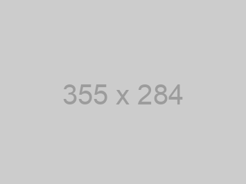 A grey image placeholder labelled 355 by 284 pixels.
